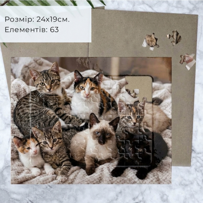 Пазл в рамці з Вашим фото 24х19 см. 63 елемента (9227)
